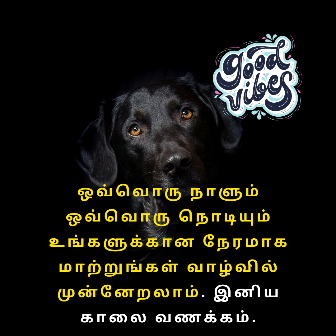 good morning kavithai