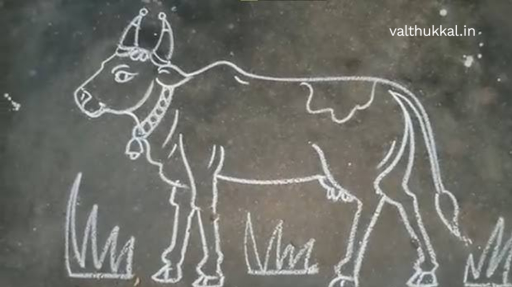 pongal rangoli kolam​