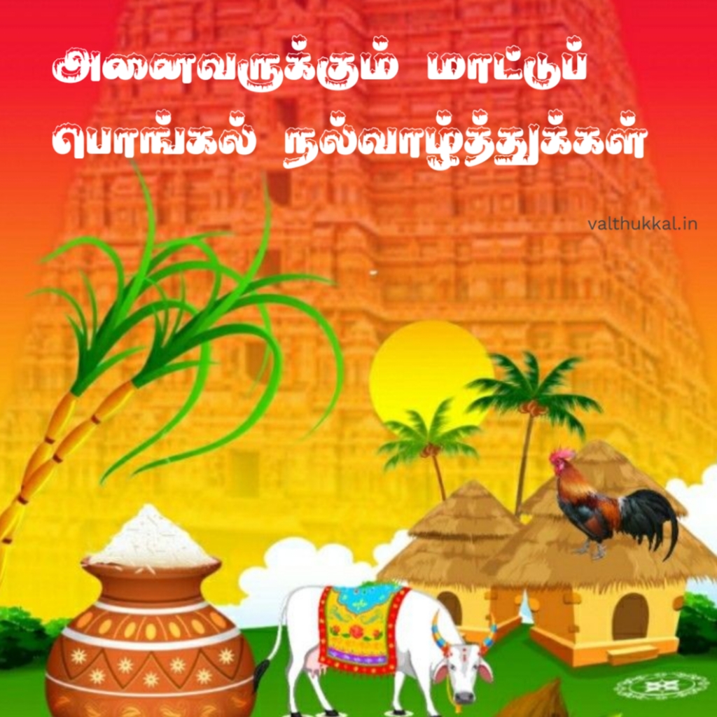 happy mattu pongal in tamil