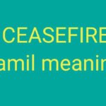 ceasefire meaning in Tamil