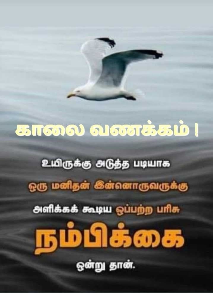 simple good morning images